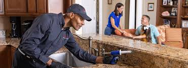 Best Real Estate Pest Inspections  in Wixom, MI