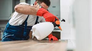 Best Residential Pest Control  in Wixom, MI